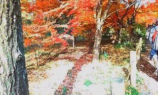 20091129114604.jpg